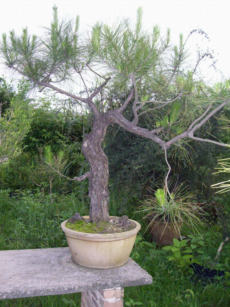 IMGP9939.JPG