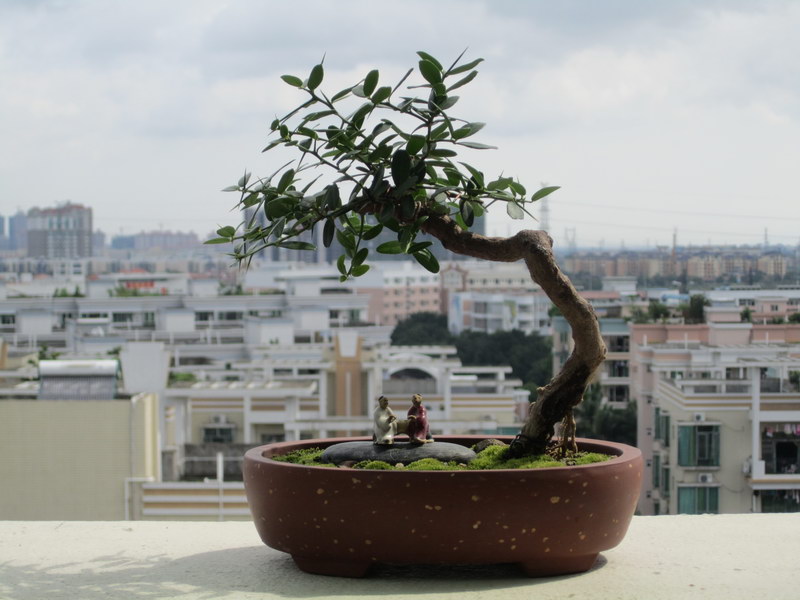 ¶̨2014괺1.JPG