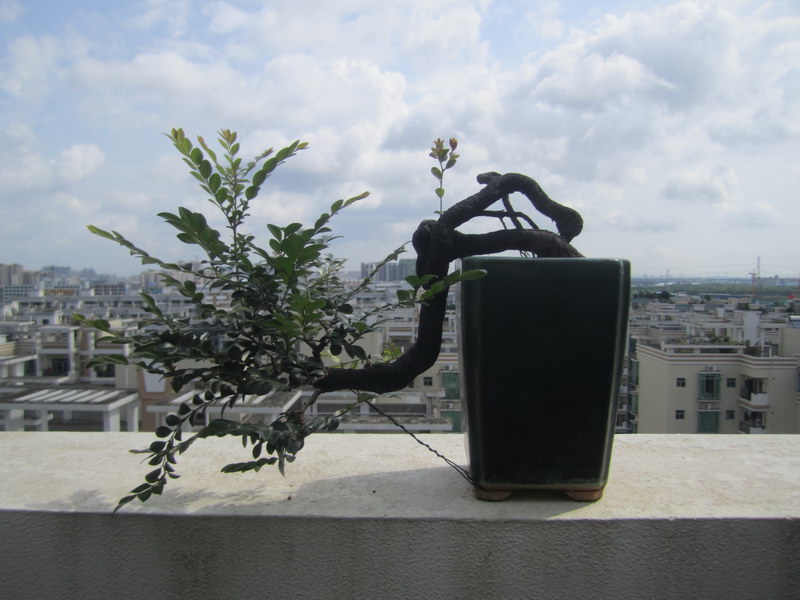 ¶̨2014괺14.JPG