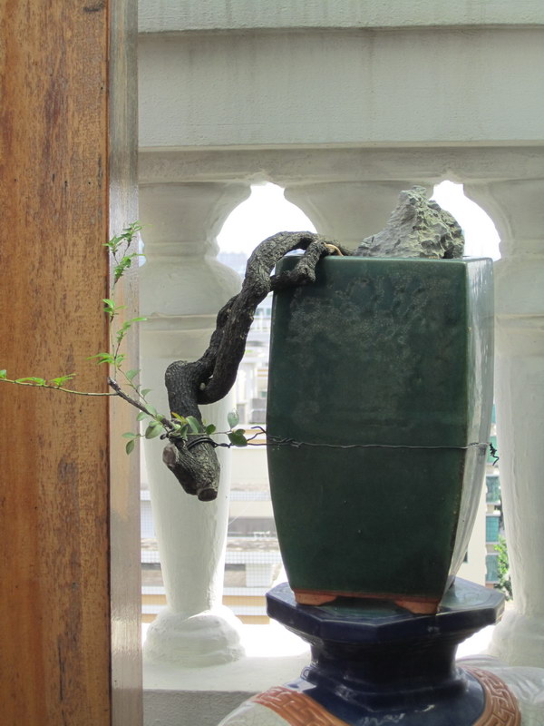 ¶̨2014괺19.JPG