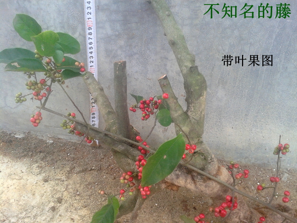 20140519_103900.jpg
