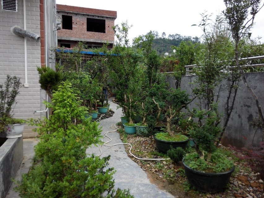 QQͼƬ20140519102844.jpg