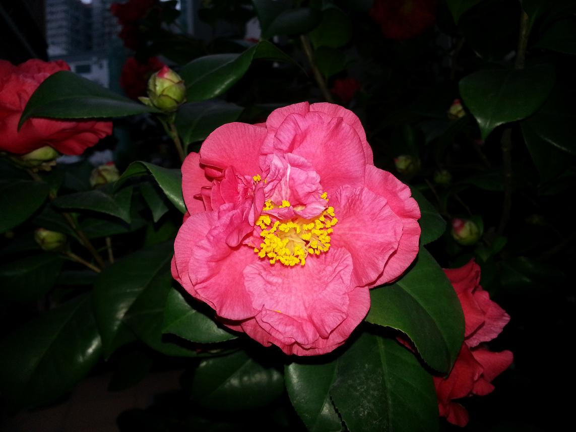 20130207_080021.JPG