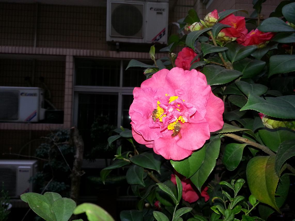 20130207_080117.JPG