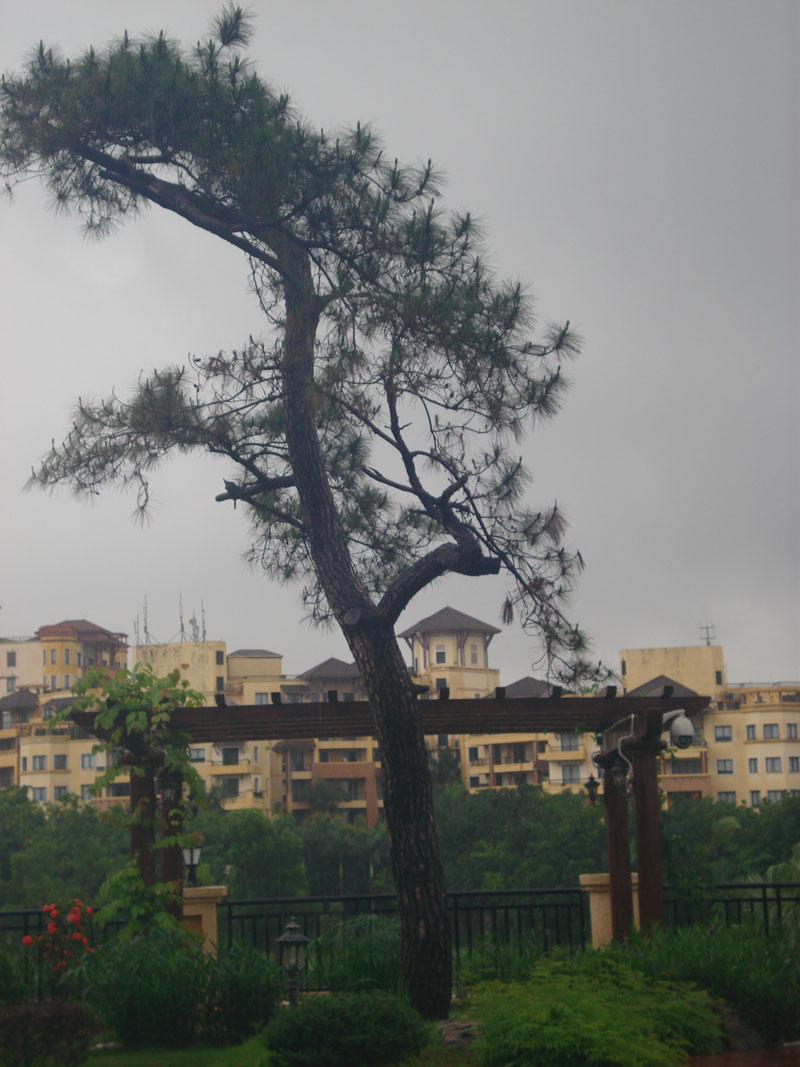 DSC00415.JPG
