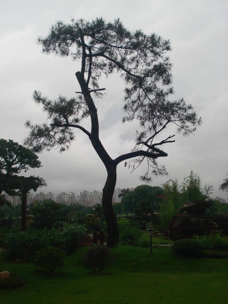 DSC00419.JPG