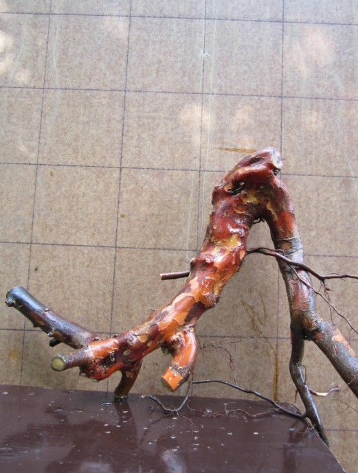 QQͼƬ20140520194130.jpg
