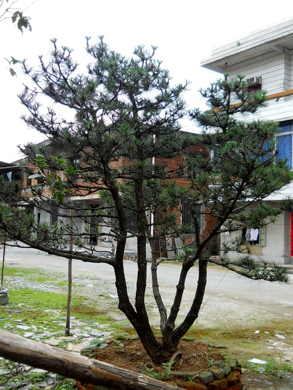 DSCN0187.JPG