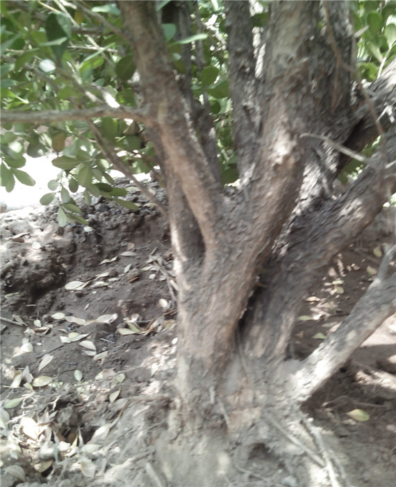 IMG20140521115658.jpg