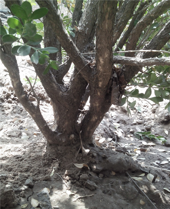  IMG20140521115722.jpg