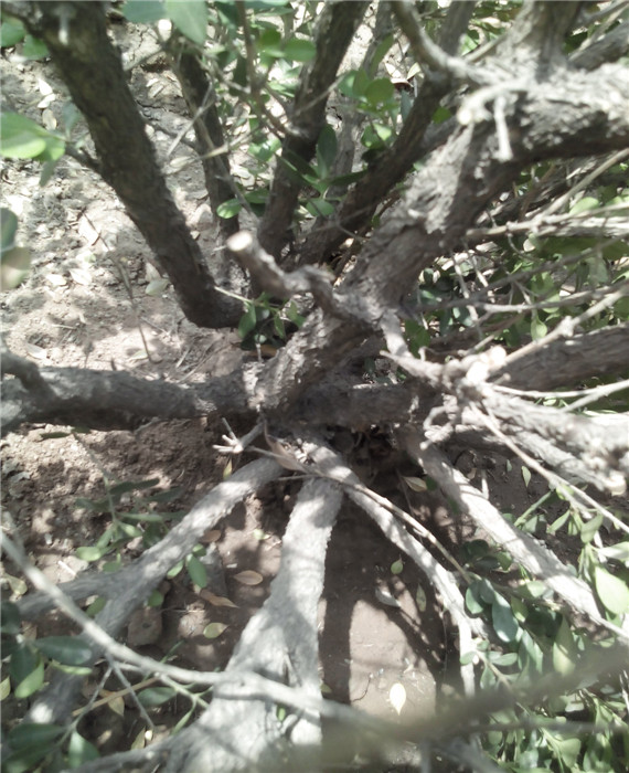  IMG20140521115737.jpg
