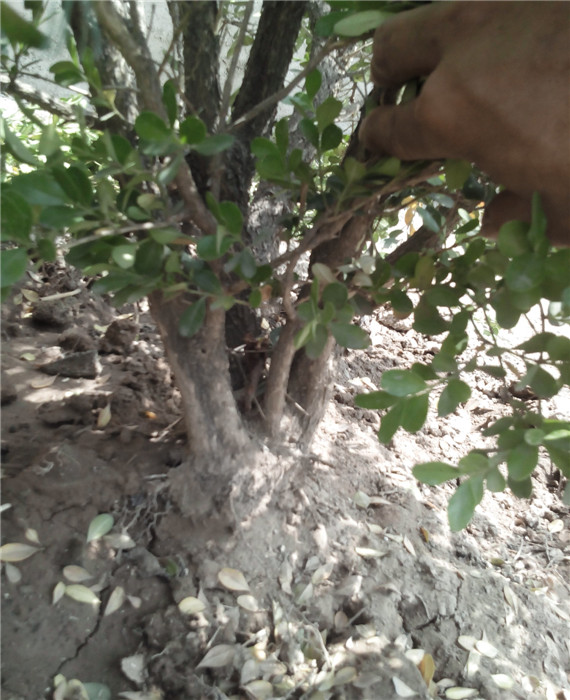 IMG20140521115758.jpg