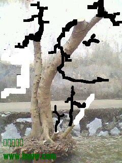 224125vjvcvv2rccvqh084.jpg
