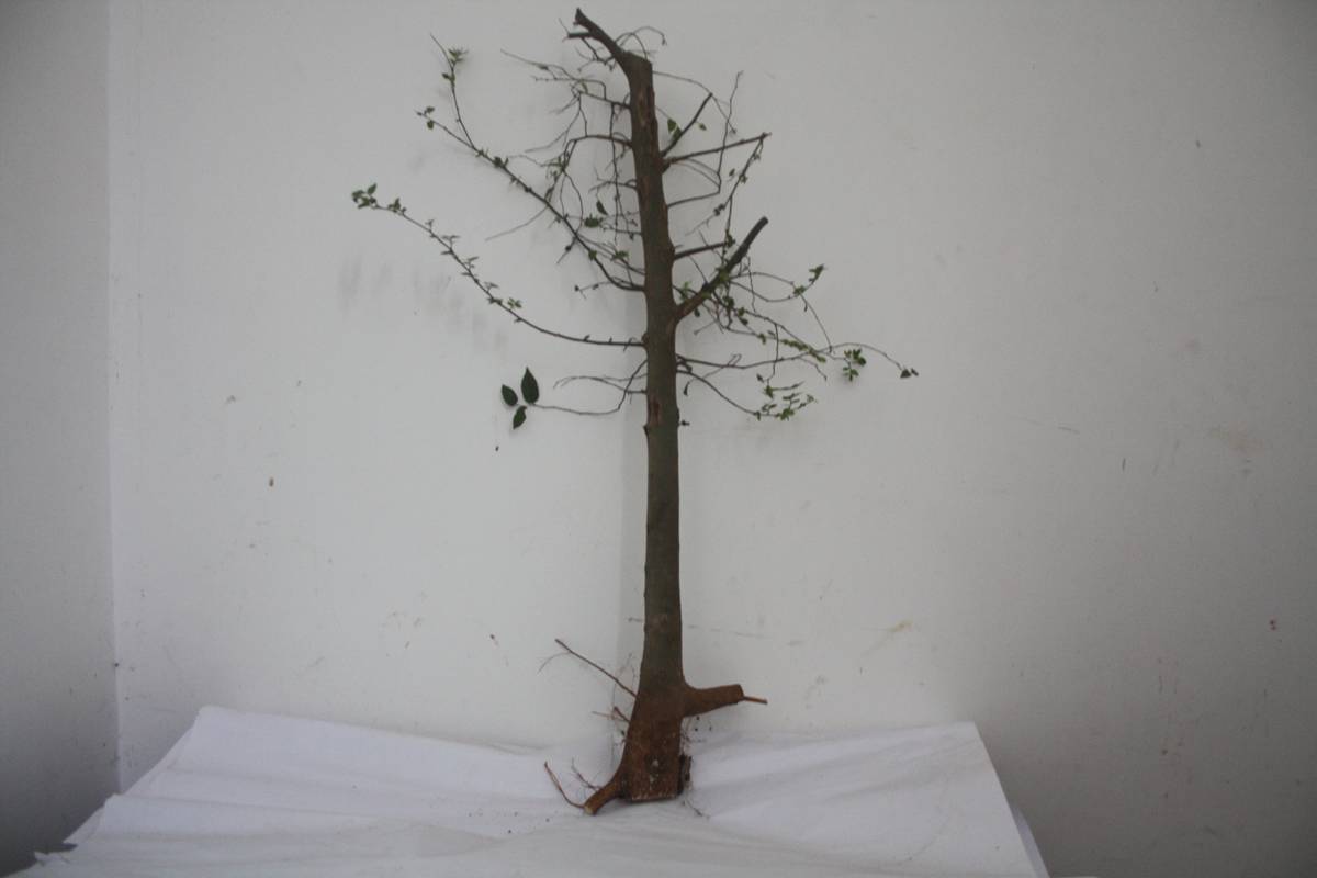 Ƭ20131026ۺ 373.jpg