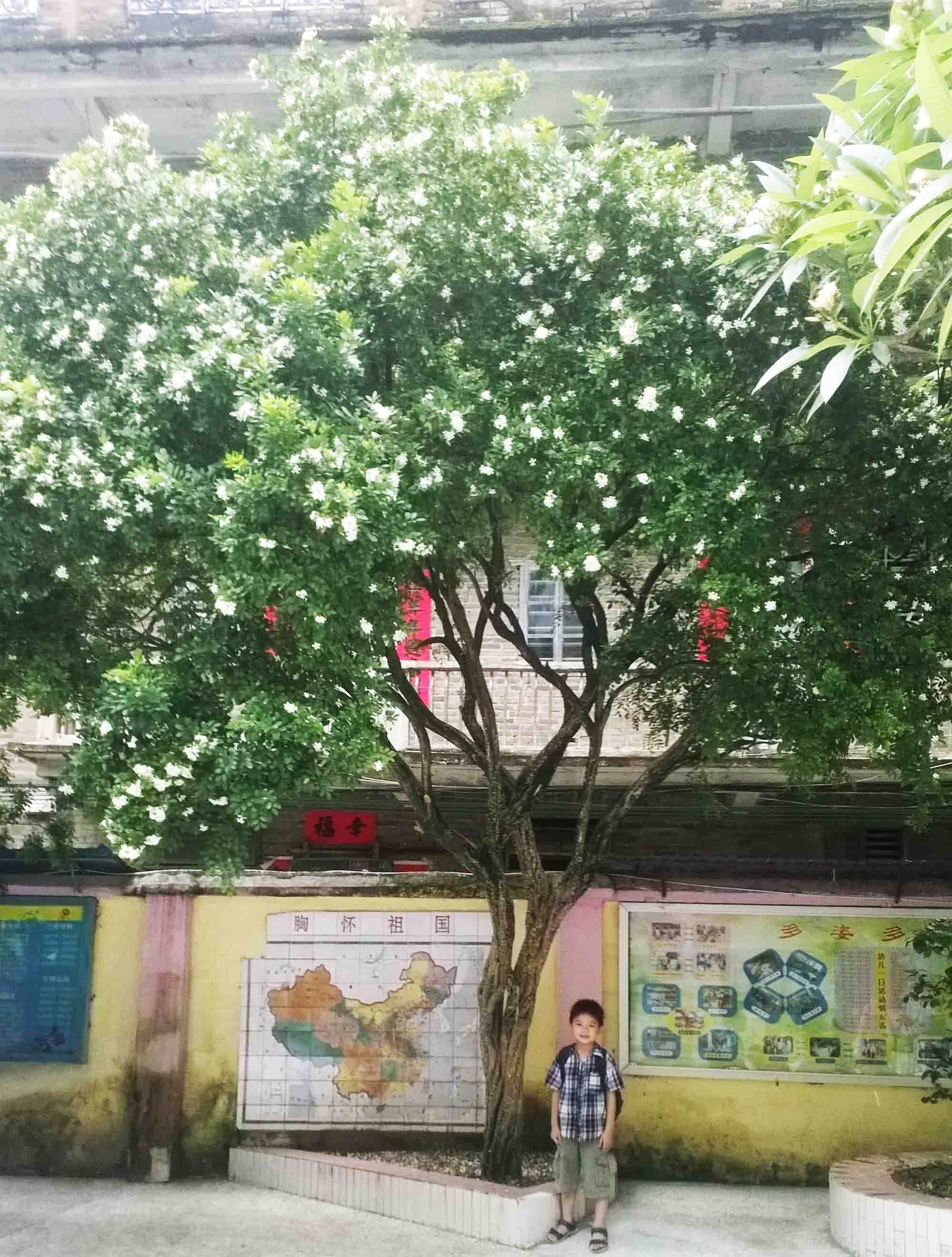 WP_20140522_003.jpg