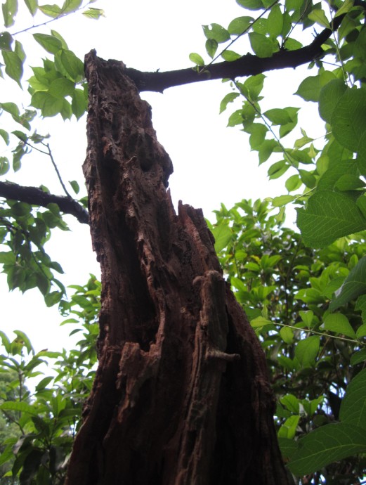 QQͼƬ20140522194022.jpg