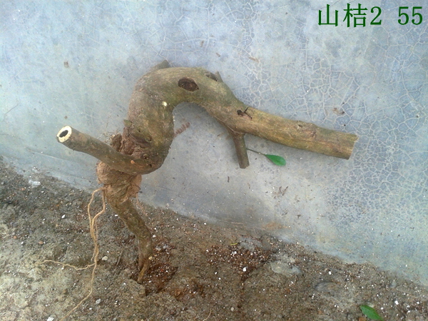 20140519_104823.jpg
