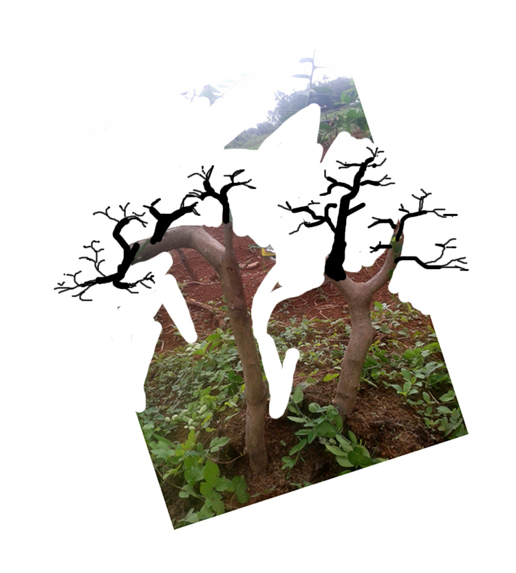 ˫˽.jpg