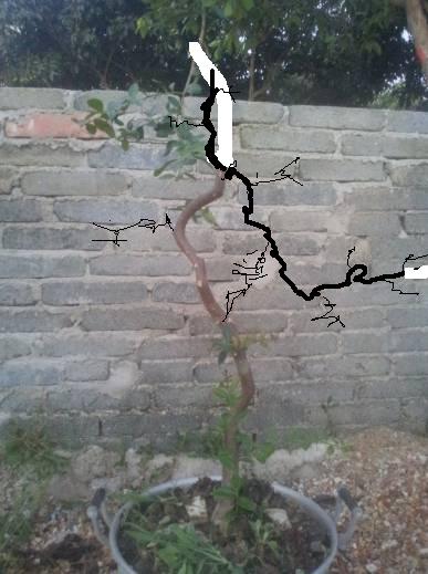 171437plrxt0m0llvnvlf0.jpg.thumb.jpg