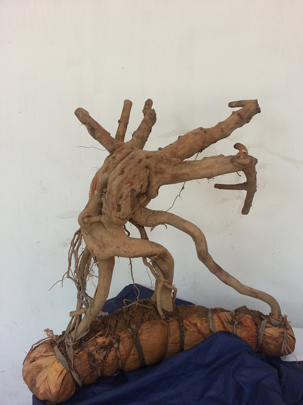 20140525_132354_.jpg