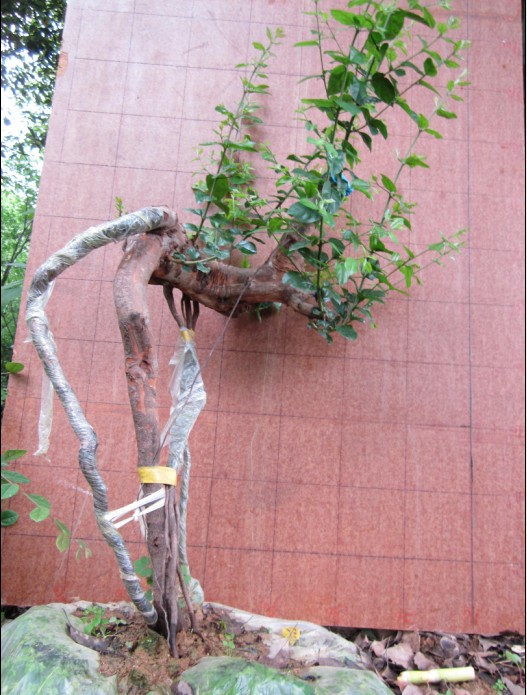 QQͼƬ20140525173720.jpg