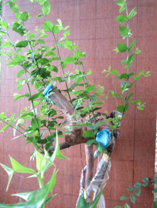QQͼƬ20140525173804.jpg
