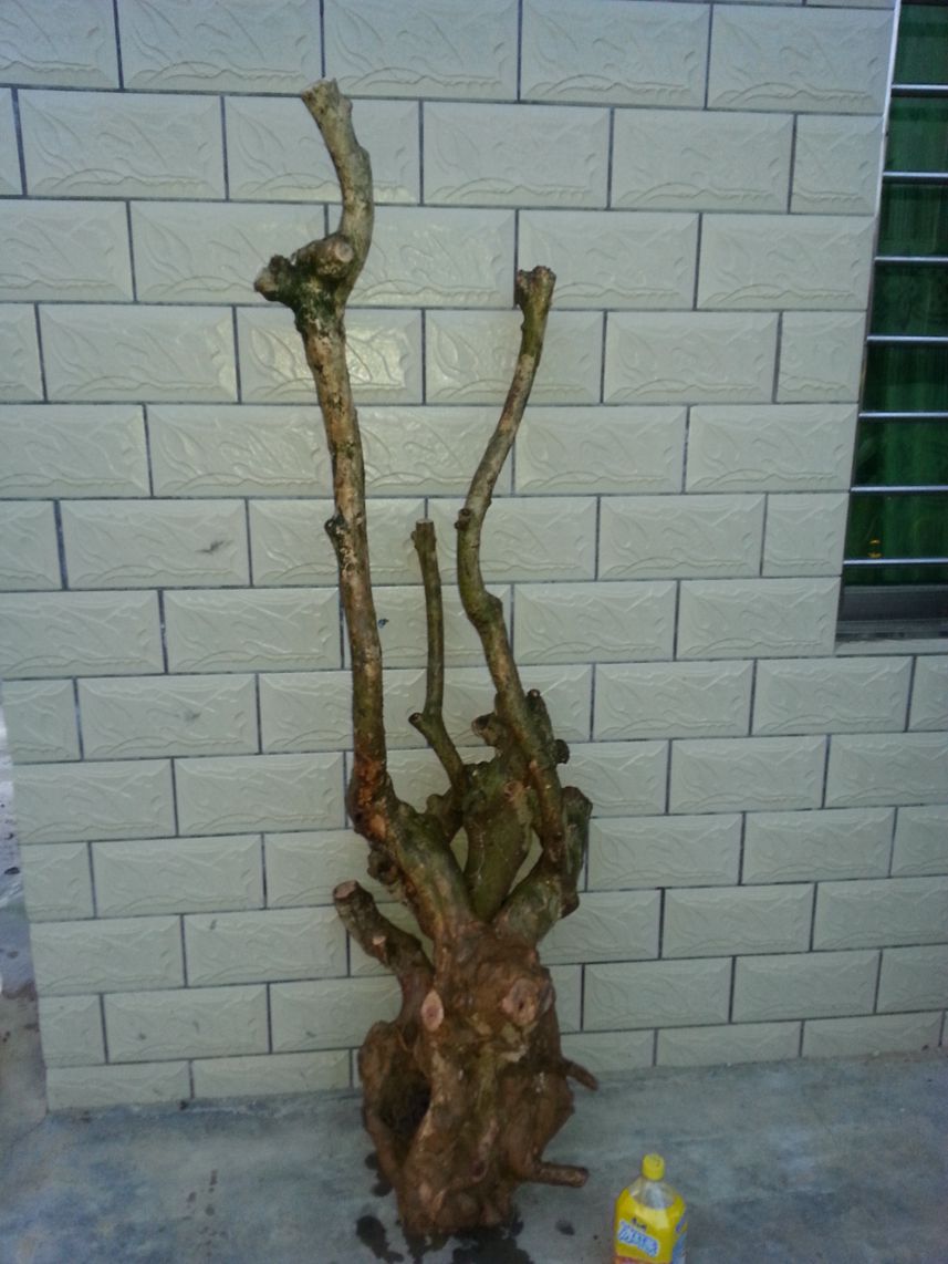 20140524_190619.jpg