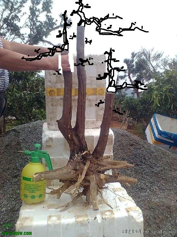 142548o66ez678bts7zkos.jpg.thumb.jpg