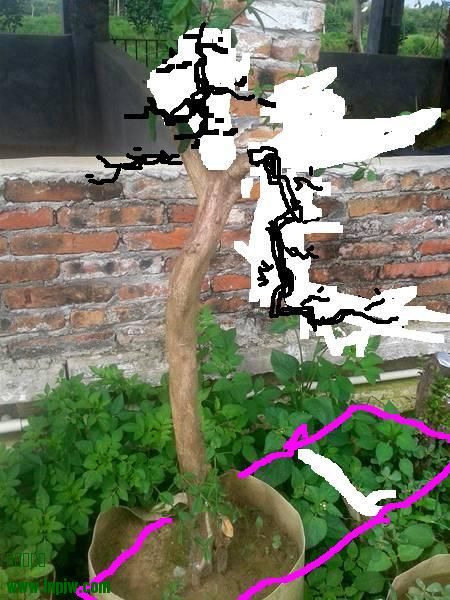 110717rrukkaarkikvkpfz.jpg.thumb.jpg