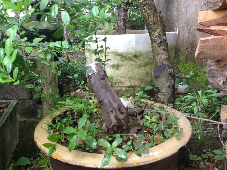 QQͼƬ20140525144053.jpg
