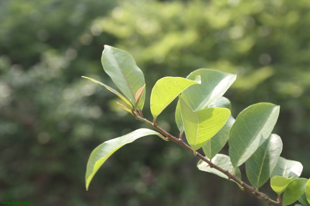Ƭ20131026ۺ 927.jpg