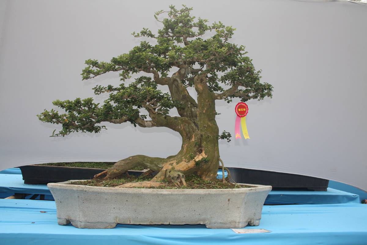 Ƭ20131026ۺ 318.jpg