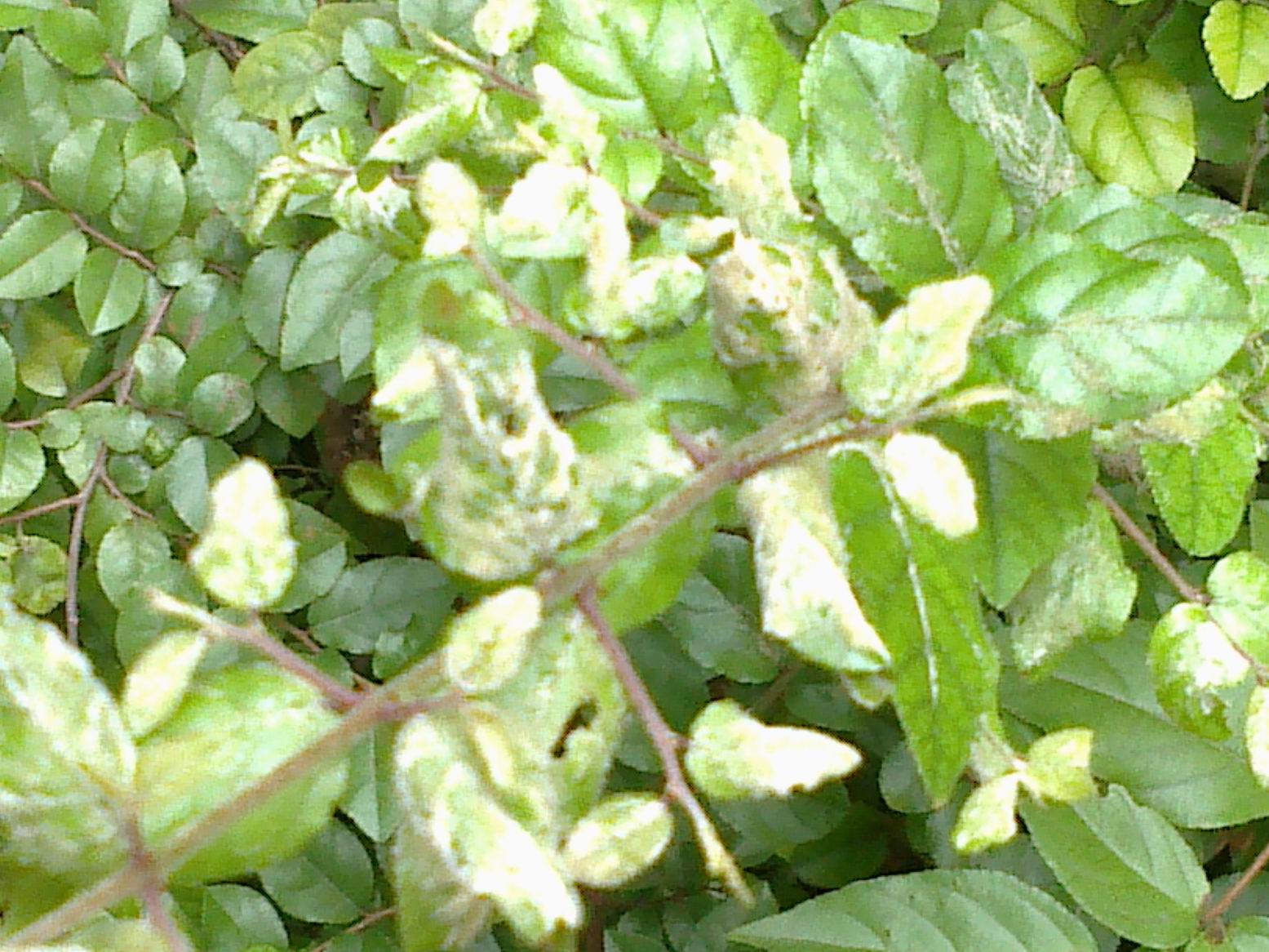20140528176.jpg