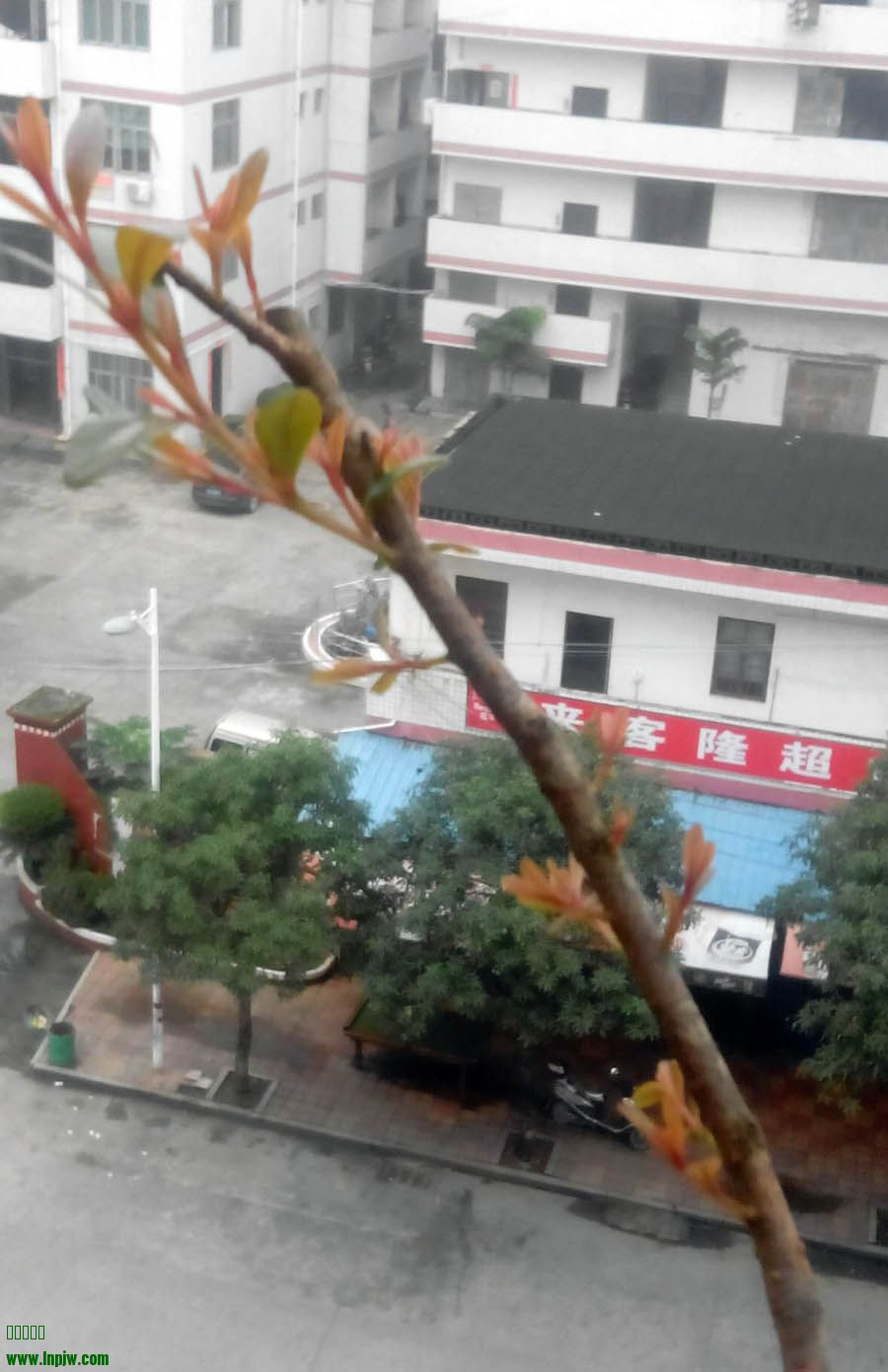 IMG_20140529_081044-1.jpg