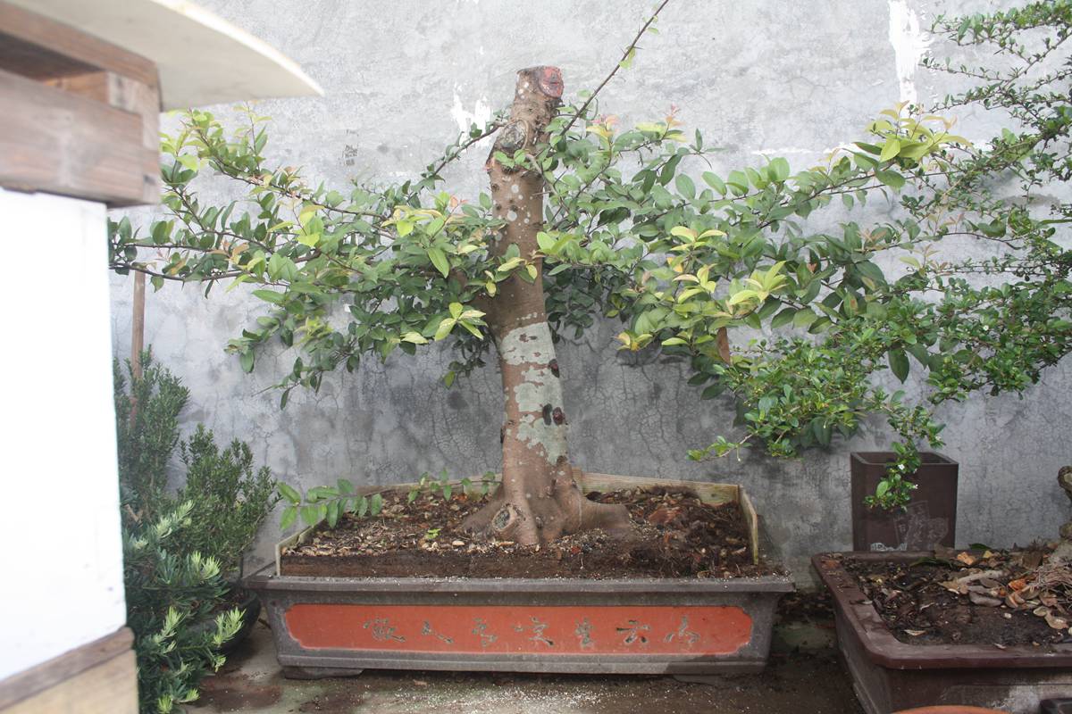 Ƭ20131026ۺ 1425.jpg