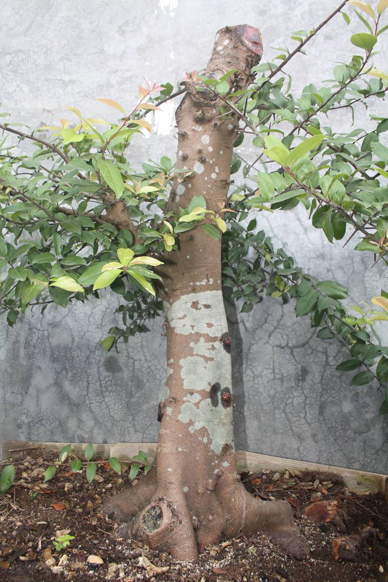 Ƭ20131026ۺ 1431.jpg