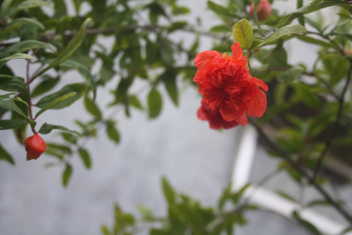 Ƭ20131026ۺ 1443.jpg