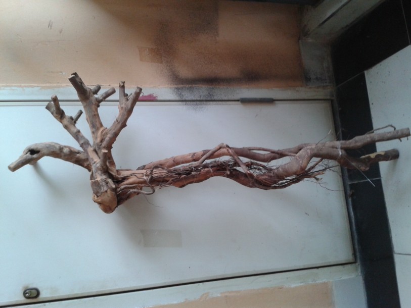QQͼƬ20140529233316.jpg