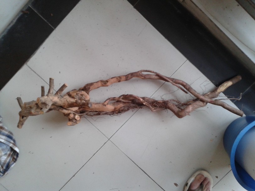 QQͼƬ20140529233335.jpg