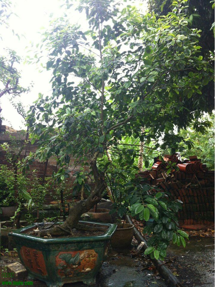 QQͼƬ20140529165018.jpg