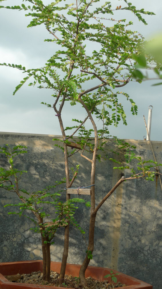 2014-5-31 10-41-23.jpg