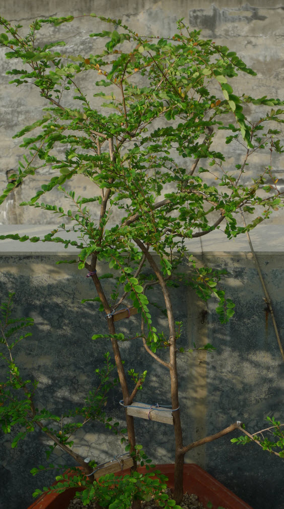 2014-5-31 10-48-33.jpg