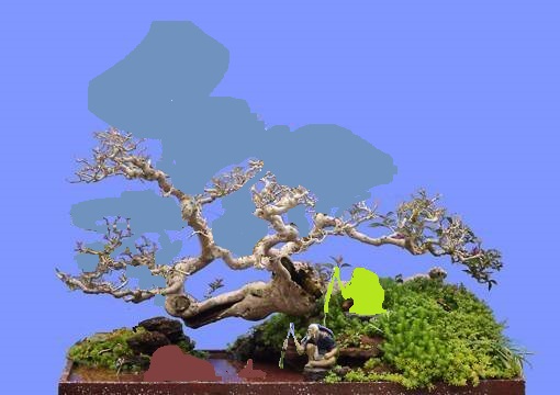 035937qjj0hi0f0sm8s9kf.jpg.thumb.jpg