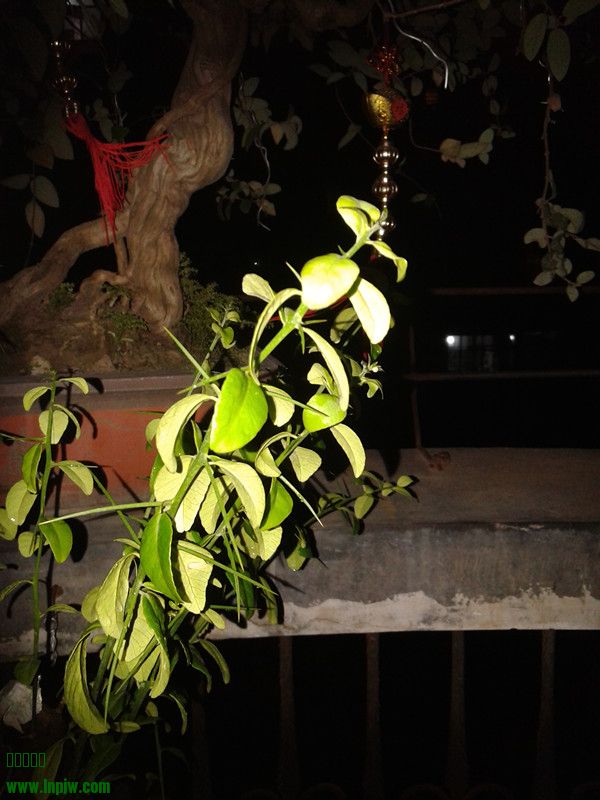 20140602_222144.jpg