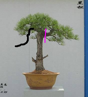 145006rvsfggrngkscw7dm.jpg.thumb.jpg