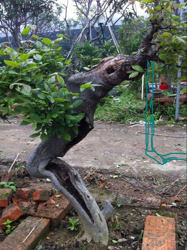 214641lxeix19jer9issir.jpg.thumb.jpg