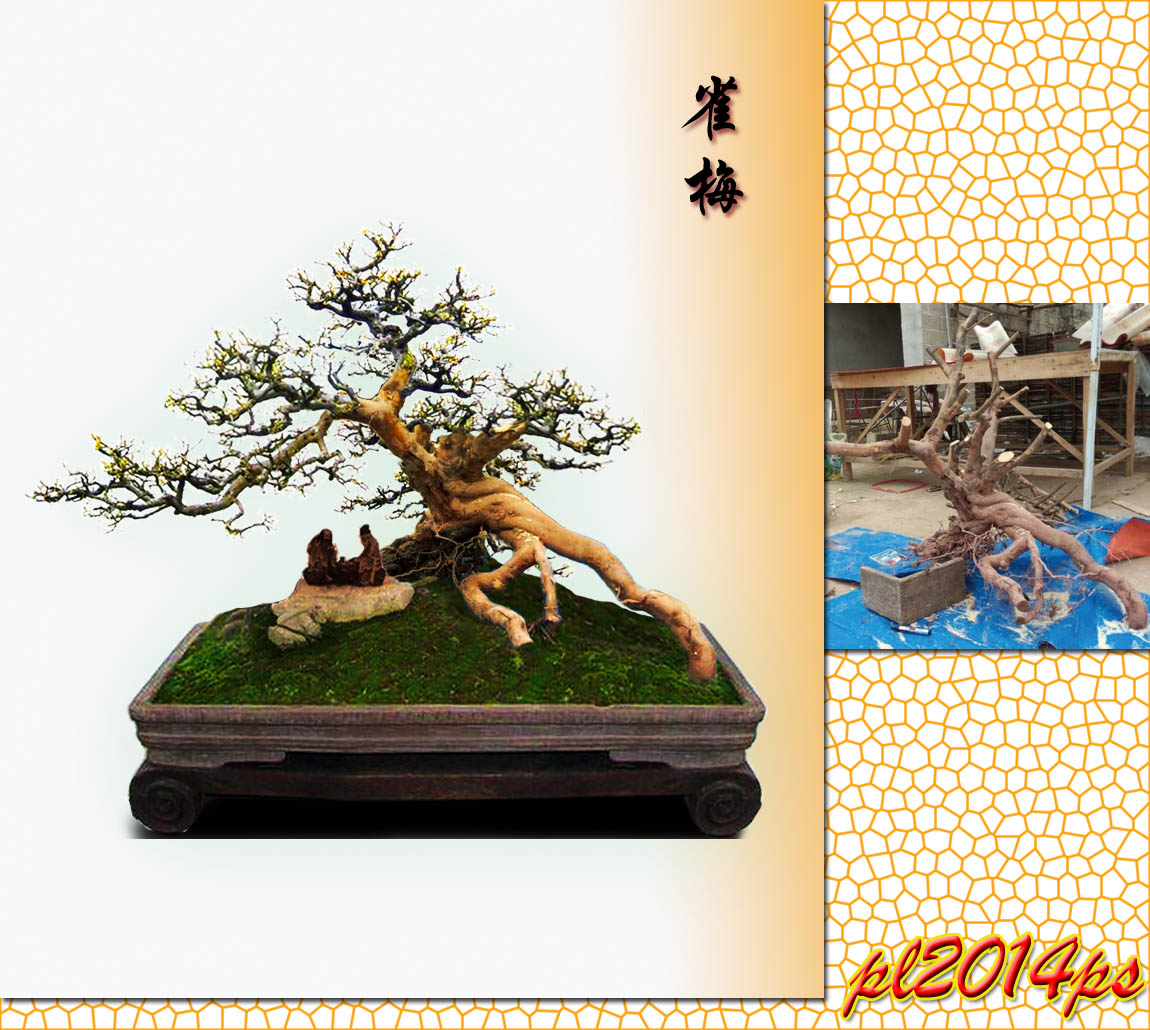 pl2014ps_3_11271234566www11.jpg