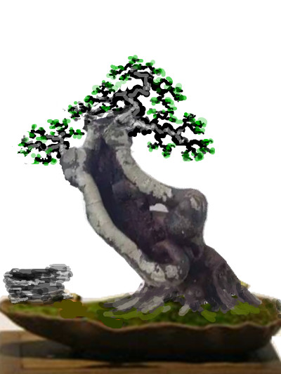 ʯ_.jpg