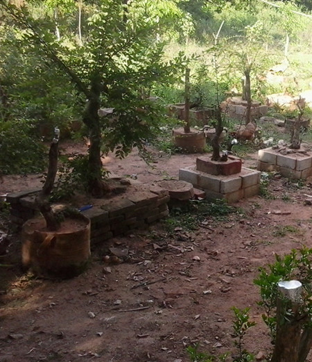 20140513_162544_.jpg