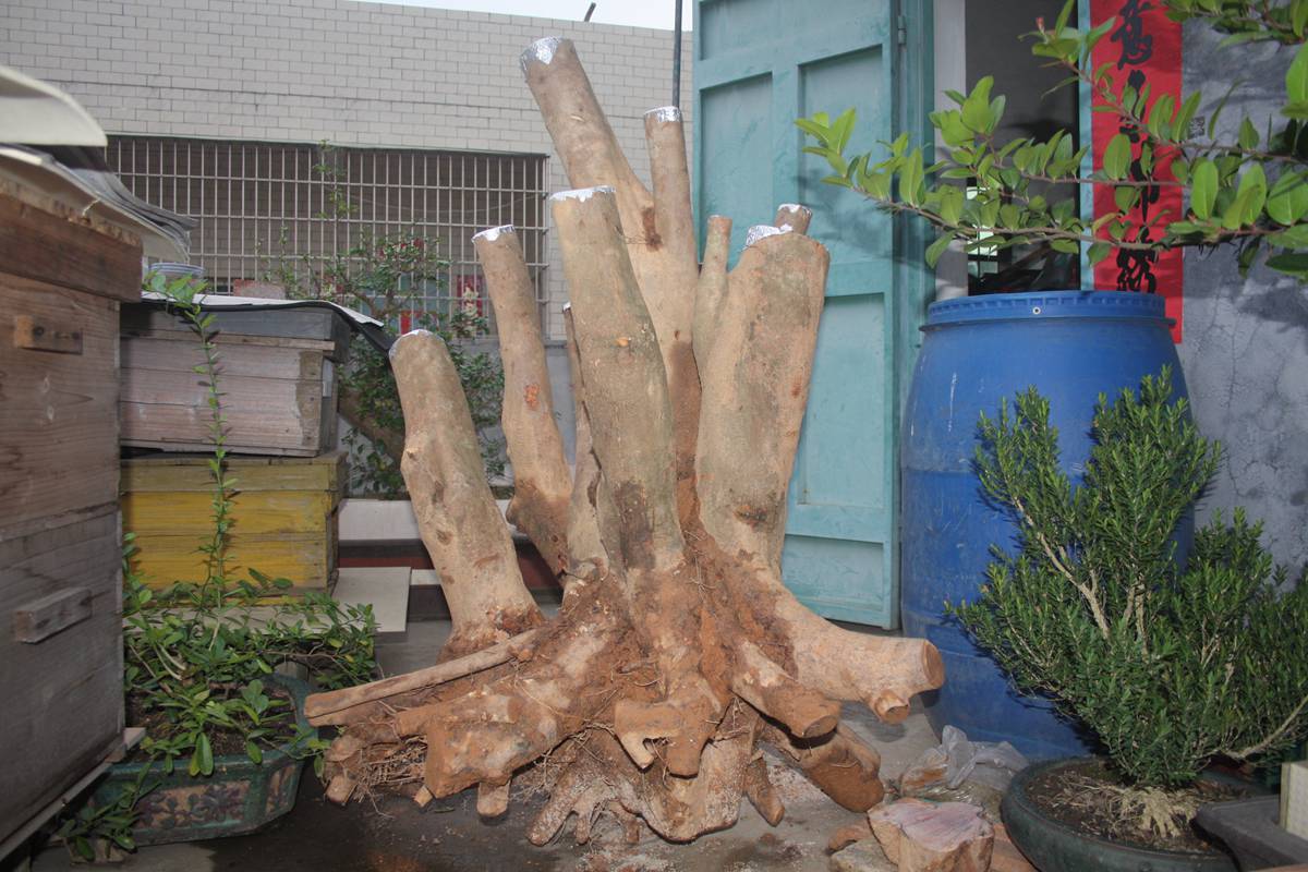 Ƭ20131026ۺ 1388.jpg